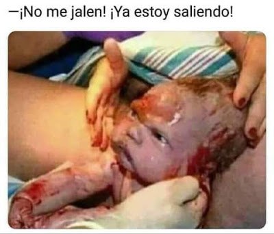 ACEPTAR LA PBO MEME